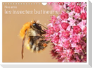 Nos amis, les insectes butineurs (Calendrier mural 2025 DIN A4 vertical), CALVENDO calendrier mensuel