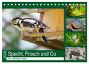 Specht, Frosch und Co - eine vielfältige Tierwelt (Tischkalender 2024 DIN A5 quer), CALVENDO Monatskalender