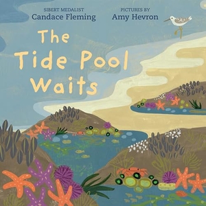 Fleming, Candace. The Tide Pool Waits. Candlewick Press (MA), 2022.
