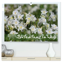 Blütentanz in Weiß (hochwertiger Premium Wandkalender 2025 DIN A2 quer), Kunstdruck in Hochglanz