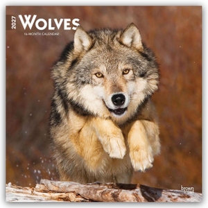 Publishers, Browntrout. Wolves - Wölfe 2027 - 16-Monatskalender - Original BrownTrout-Kalender [Mehrsprachig] [Kalender]. Browntrout Verlags GmbH, 2026.