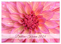 Dahlien-Kronen (Wandkalender 2024 DIN A2 quer), CALVENDO Monatskalender