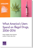 What America's Users Spend on Illegal Drugs, 2006-2016