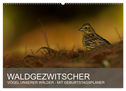 Waldgezwitscher - Vögel unserer Wälder (Wandkalender 2024 DIN A2 quer), CALVENDO Monatskalender