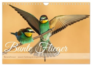Bauer, Frederic. Bunte Flieger (Wandkalender 2025 DIN A4 quer), CALVENDO Monatskalender - Farbenprächtige Vögel in unterschiedlichen Szenen. Calvendo, 2024.