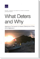 What Deters and Why