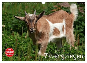 Klatt, Arno. Zwergziegen (Wandkalender 2024 DIN A3 quer), CALVENDO Monatskalender - Die wohl bekannteste Ziege. Calvendo Verlag, 2023.