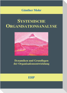 Systemische Organisationsanalyse