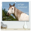 Lustiger Schimmel - ein Pferd mit Humor (hochwertiger Premium Wandkalender 2024 DIN A2 quer), Kunstdruck in Hochglanz