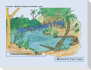 Peter Platypus's Pond