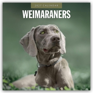 Red, Robin. Weimaraners - Weimaraner 2027 - 16-Monatskalender - Original Red Robin Publishing Ltd-Kalender [Mehrsprachig] [Kalender]. Browntrout Verlags GmbH, 2026.
