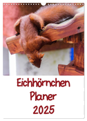 Eichhörnchen Planer 2025 (Wandkalender 2025 DIN A3 hoch), CALVENDO Monatskalender