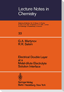 Electrical Double Layer at a Metal-dilute Electrolyte Solution Interface