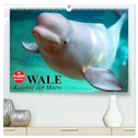 Wale. Kolosse der Meere (hochwertiger Premium Wandkalender 2025 DIN A2 quer), Kunstdruck in Hochglanz