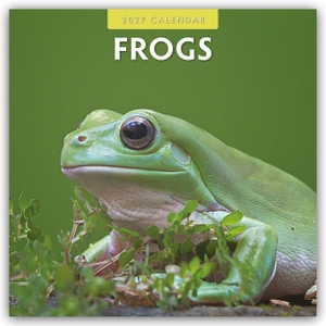 Red, Robin. Frogs - Frosch - Frösche 2027 - 16-Monatskalender - Original Red Robin Publishing Ltd-Kalender [Mehrsprachig] [Kalender]. Browntrout Verlags GmbH, 2026.