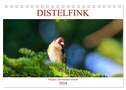 Distelfink (Tischkalender 2024 DIN A5 quer), CALVENDO Monatskalender