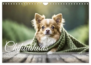 Verena Scholze, Fotodesign. Chihuahuas - Kleine Hunde - große Temperamentbündel (Wandkalender 2025 DIN A4 quer), CALVENDO Monatskalender - Vorwitzige Chihuahuas begleiten durchs ganze Jahr. Calvendo, 2024.