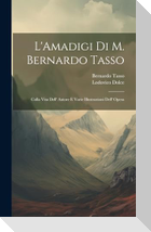 L'Amadigi Di M. Bernardo Tasso