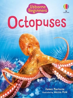 Maclaine, James. Octopuses (Usborne Beginners). Usborne Books, 2026.