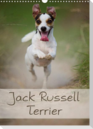 Jack Russell Terrier (Wandkalender 2022 DIN A3 hoch)