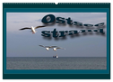 Ostsee-Strand (Wandkalender 2025 DIN A2 quer), CALVENDO Monatskalender
