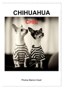 CHIHUAHUA CHIC Photos Marion Koell (Wandkalender 2024 DIN A3 hoch), CALVENDO Monatskalender