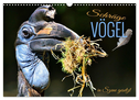 Schräge Vögel in Szene gesetzt (Wandkalender 2024 DIN A3 quer), CALVENDO Monatskalender