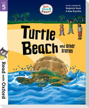 Read with Oxford: Stage 5: Biff, Chip and Kipper: Turtle Beach and Other Stories