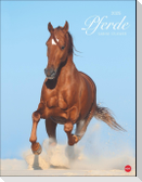 Pferde Classics Posterkalender 2025