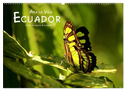 Ama la Vida Ecuador (Wandkalender 2024 DIN A2 quer), CALVENDO Monatskalender