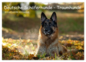 Deutsche Schäferhunde - Traumhunde (Wandkalender 2024 DIN A2 quer), CALVENDO Monatskalender