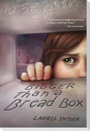 Bigger Than a Bread Box