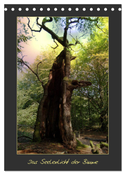 Das Seelenlicht der Bäume (Tischkalender 2024 DIN A5 hoch), CALVENDO Monatskalender