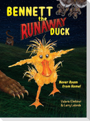 Bennett the Runaway Duck