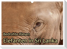 Bedrohte Riesen - Elefanten in Sri Lanka (Wandkalender 2024 DIN A3 quer), CALVENDO Monatskalender