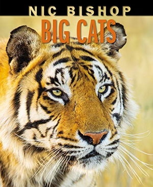 Bishop, Nic. Nic Bishop Big Cats. Scholastic Inc., 2019.