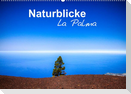Naturblicke - La Palma (Wandkalender 2023 DIN A2 quer)