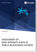 Assessment of Data Integrity Risks in Public Blockchain Systems