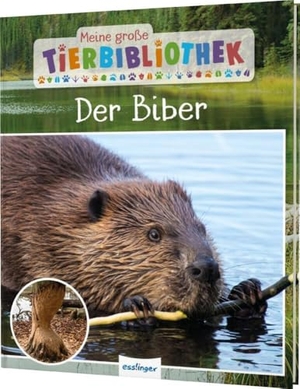 Gutjahr, Axel. Meine große Tierbibliothek: Der Biber - Erstes Wissen für Vor- und Grundschule. Esslinger Verlag, 2024.