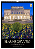 Braunschweig im schönsten Licht (Wandkalender 2025 DIN A3 hoch), CALVENDO Monatskalender