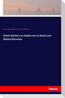 Briefe Goethe's an Sophie von La Roche und Bettina Brentano