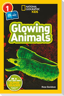 Glowing Animals (National Geographic Kids Readers, Level 1/Co-Reader)