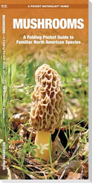 Mushrooms