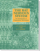 Rat Nervous System