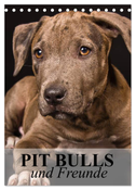 Pit Bulls und Freunde (Tischkalender 2024 DIN A5 hoch), CALVENDO Monatskalender