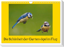 Die Schönheit der Gartenvögel im Flug (Wandkalender 2024 DIN A4 quer), CALVENDO Monatskalender