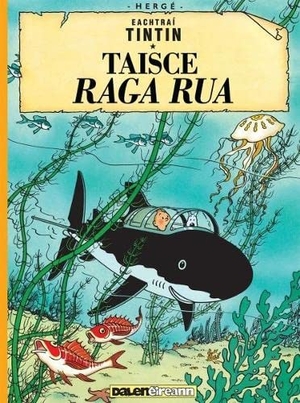 Herge. Tintin: Taisce Raga Rua (Tintin in Irish). Dalen (Llyfrau) Cyf, 2020.