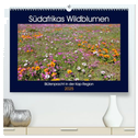 Südafrikas Wildblumen - Blütenpracht in der Kap-Region (hochwertiger Premium Wandkalender 2025 DIN A2 quer), Kunstdruck in Hochglanz