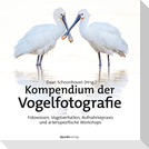 Kompendium der Vogelfotografie