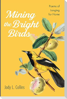 Mining the Bright Birds